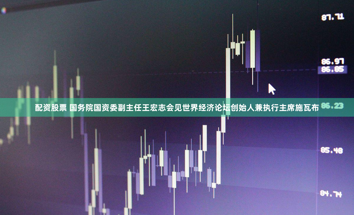配资股票 国务院国资委副主任王宏志会见世界经济论坛创始人兼执行主席施瓦布