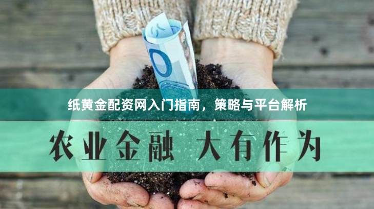 纸黄金配资网入门指南，策略与平台解析
